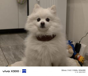 Img 20260117 183703 Img 20260117 183703