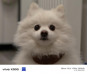 Img 20260117 183706 Img 20260117 183706