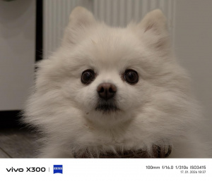 Img 20260117 183710 Img 20260117 183710