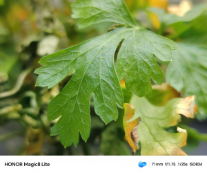 Img 20260125 085526 Img 20260125 085526