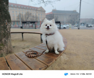 Img 20260125 101234 Img 20260125 101234