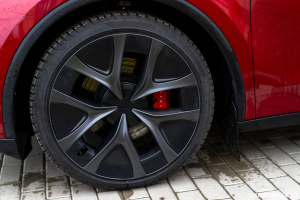 21" kola Arachnid 2.0 21" kola Arachnid 2.0