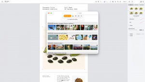 Image Playground v Pages Image Playground v Pages
