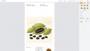 Image Playground v Pages Image Playground v Pages