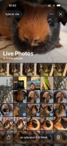 Video z živých fotografií na iPhonu Video z živých fotografií na iPhonu