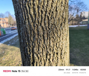 Redmi Note 15 Pro Plus Galerie 43 Redmi Note 15 Pro Plus Galerie 43