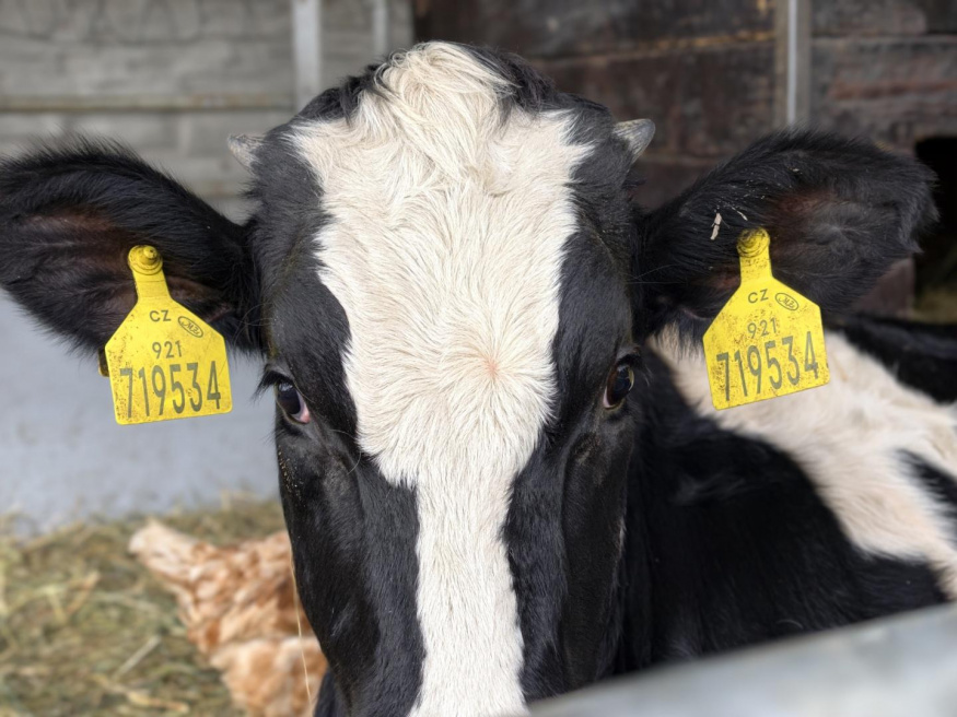 Vivo X300 Pro (2×) Vivo X300 Pro (2×)