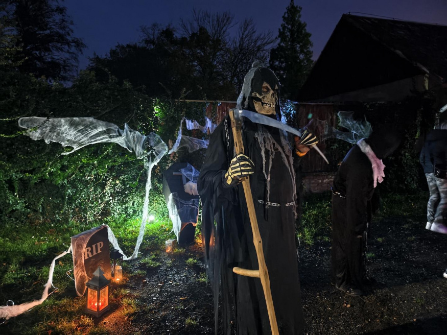 Vivo X300 Pro (1×) Vivo X300 Pro (1×)