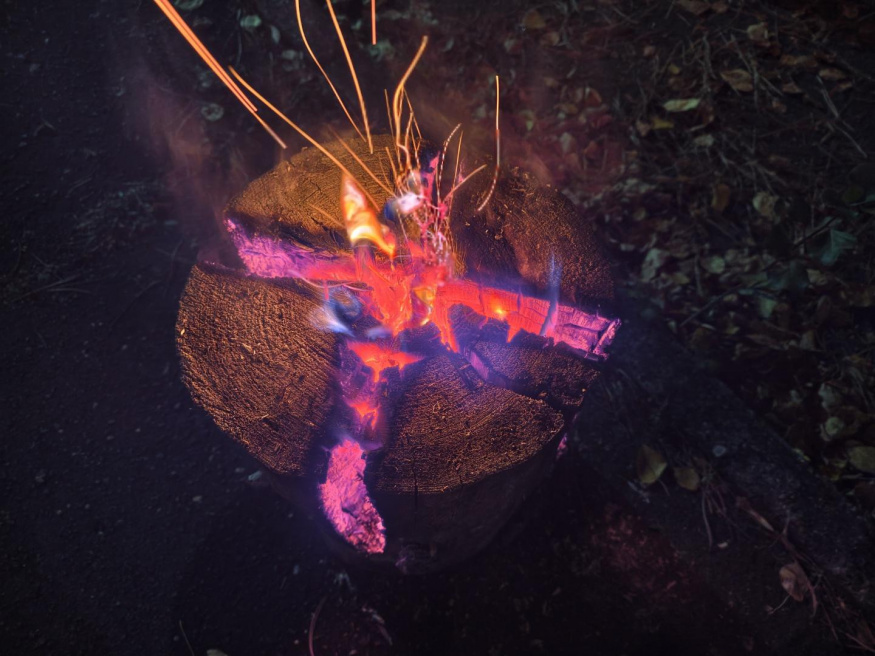 Vivo X300 Pro (1×) Vivo X300 Pro (1×)