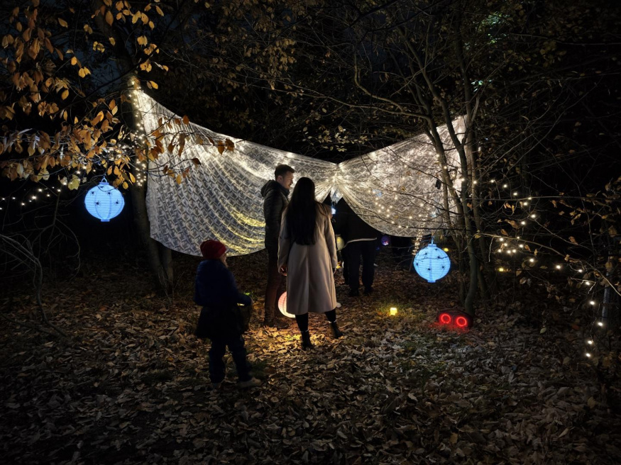 Vivo X300 Pro (1×) Vivo X300 Pro (1×)