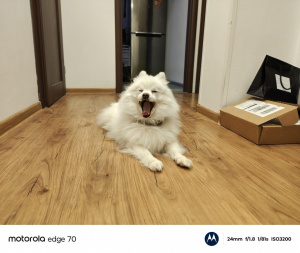 Img 20260209 165856532 Hdr Portrait Img 20260209 165856532 Hdr Portrait