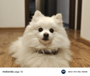 Img 20260209 165903336 Hdr Portrait Img 20260209 165903336 Hdr Portrait