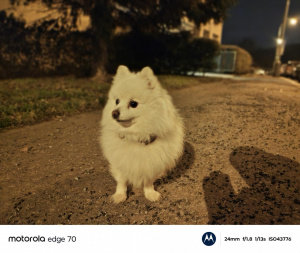 Img 20260209 182615694 Portrait Img 20260209 182615694 Portrait