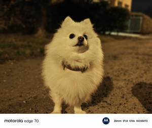 Img 20260209 182623062 Portrait Img 20260209 182623062 Portrait