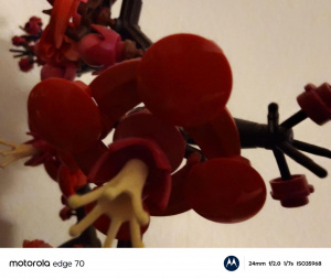 Img 20260210 233357679 Img 20260210 233357679