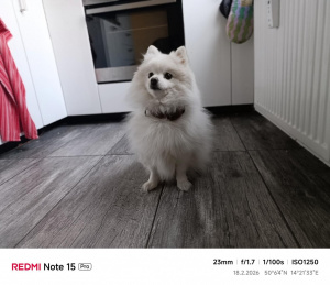 Img 20260218 161131 Img 20260218 161131