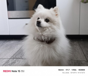 Img 20260218 161135 Img 20260218 161135