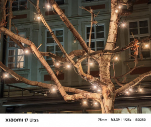 Img 20260218 200021 Img 20260218 200021