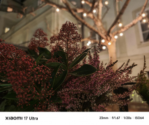 Img 20260218 200043 Img 20260218 200043