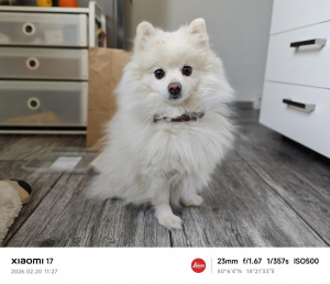 Img 20260220 112715 Img 20260220 112715