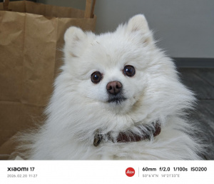 Img 20260220 112719 Img 20260220 112719