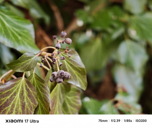 Img 20260220 151904 Img 20260220 151904