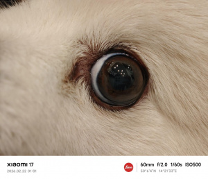 Img 20260222 013159 Img 20260222 013159