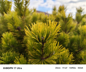 Img 20260224 150759 Img 20260224 150759