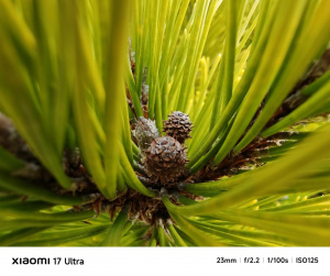 Img 20260224 150812 Img 20260224 150812