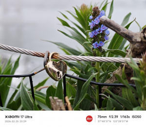 Img 20260225 232915 Teleobjektiv (3,2×)