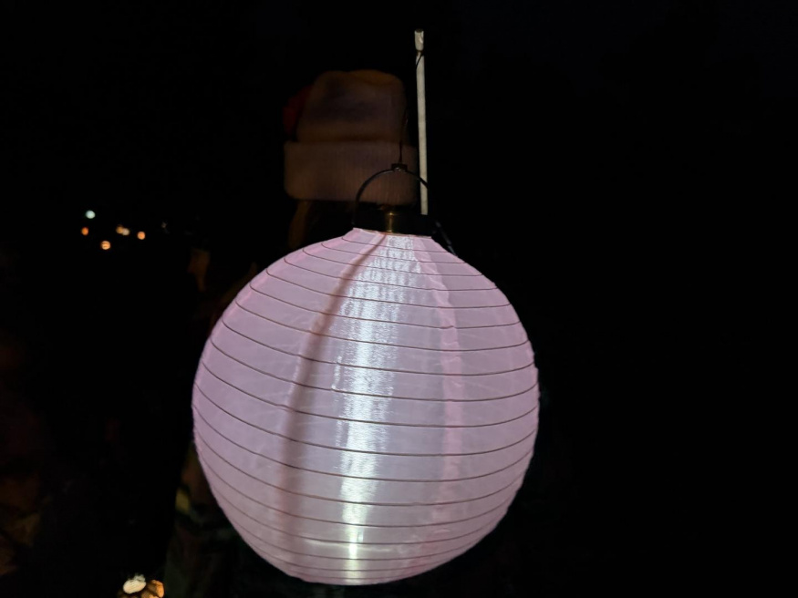 iPhone 17 Pro Max (1×) iPhone 17 Pro Max (1×)