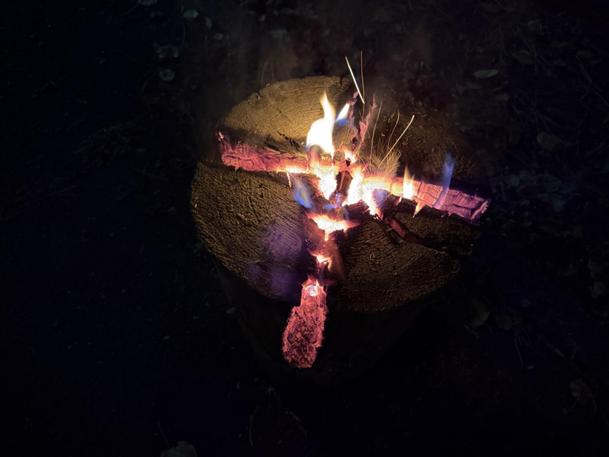 iPhone 17 Pro Max (1×) iPhone 17 Pro Max (1×)