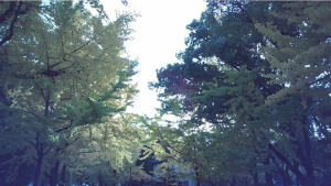 Fotografie z Kodaku Opt100 Neo Film Fotografie z Kodaku Opt100 Neo Film