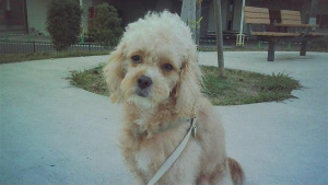 Fotografie z Kodaku Opt100 Neo Film Fotografie z Kodaku Opt100 Neo Film