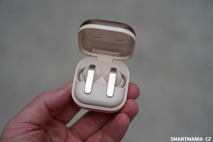 Růžová varianta Růžová varianta