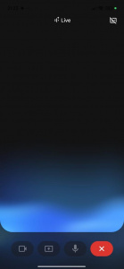 Režim hlasové komunikace (v češtině) s Gemini Režim hlasové komunikace (v češtině) s Gemini