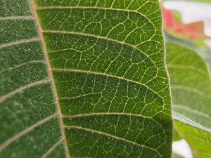 20260306 163258 20260306 163258