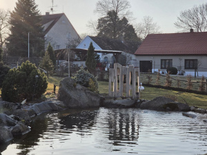 20260306 163516 20260306 163516