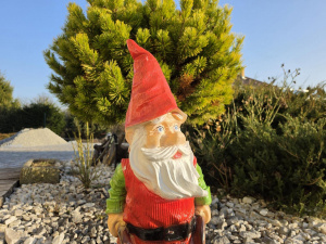 20260306 163527 20260306 163527