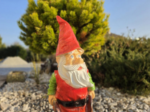 20260306 163532 20260306 163532