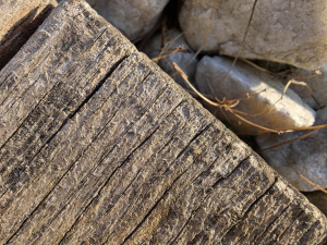 20260306 163553 20260306 163553