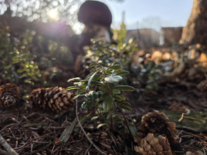 20260306 163657 20260306 163657