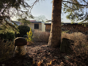 20260306 163714 20260306 163714