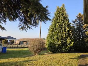 20260306 163727 20260306 163727