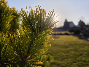 20260306 163959 20260306 163959