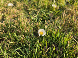 20260306 164030 20260306 164030