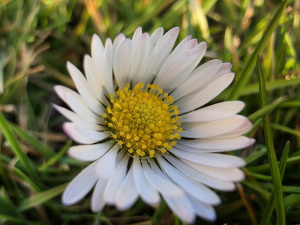 20260306 164050 20260306 164050