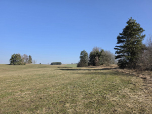 20260307 093937 20260307 093937