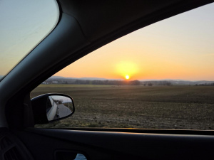 20260307 173713 20260307 173713