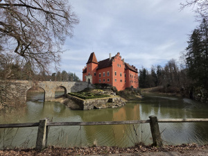 20260308 125919 20260308 125919